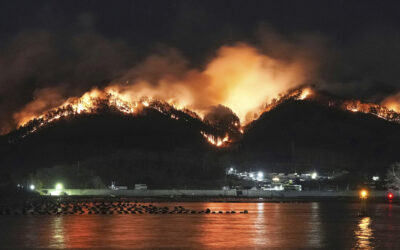 Japan Fights a Wildfire That Has Damaged Dozens of Homes and Caused Hundreds to Evacuate